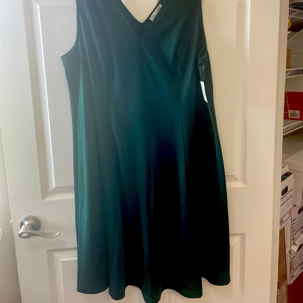Sleeveless Hunter Green A-Line Swing Dress 3x